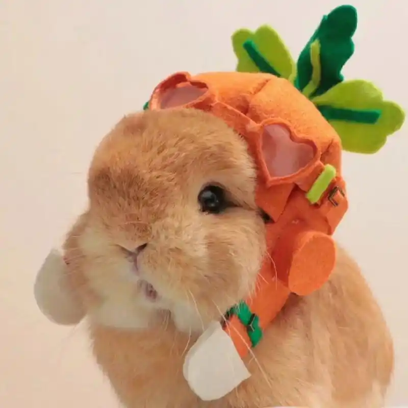 情侣头像 #可爱头像# #头像##兔子##闺蜜头像##情侣头像##优质头像