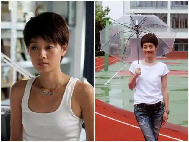 夏琳——马伊琍