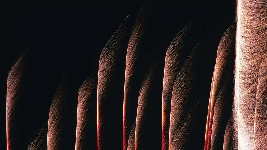 烟花,像树,夜晚 1242x2688 iphone 11 pro/xs max 壁纸,图片,背景