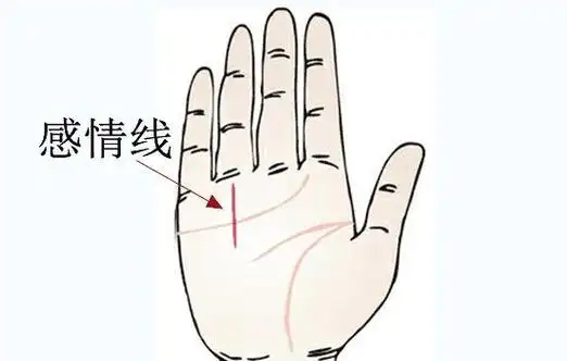 感情线上很多小竖纹图解女人感情线有8字纹奇缘阁算命-卜安居