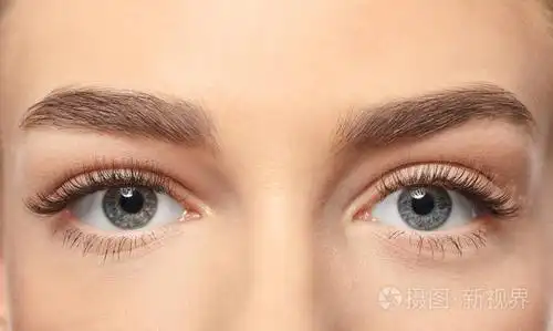 美丽的女性眼睛长睫毛特写