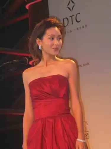 图文明星时代庆祝创刊2周年杨恭如12