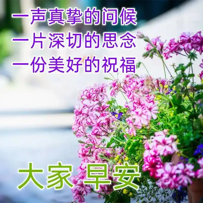 春季清晨问候朋友的早安祝福语,微信早上好祝福图片表情