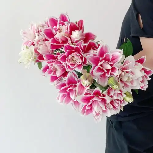 日本fw稀有油画般火星之恋重瓣百合鲜花香味鲜花速递同城