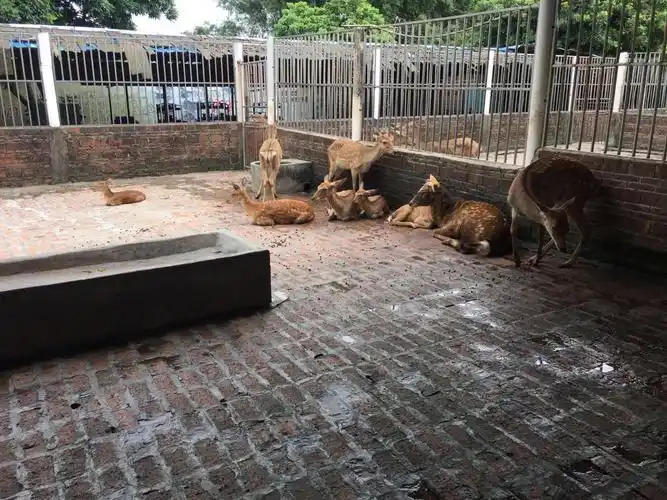 红旗湾生态乐园