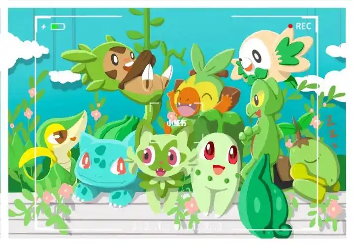 宝可梦御三家之草系合照
