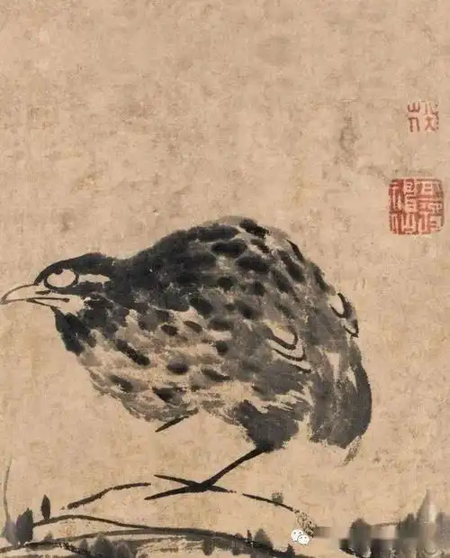 八大山人的画为什么好?来看看他的这些花鸟作品吧