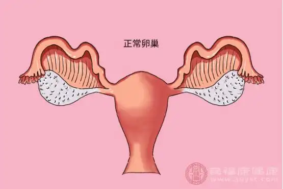 一般来说,黄体期出现的时间要在排卵期后面