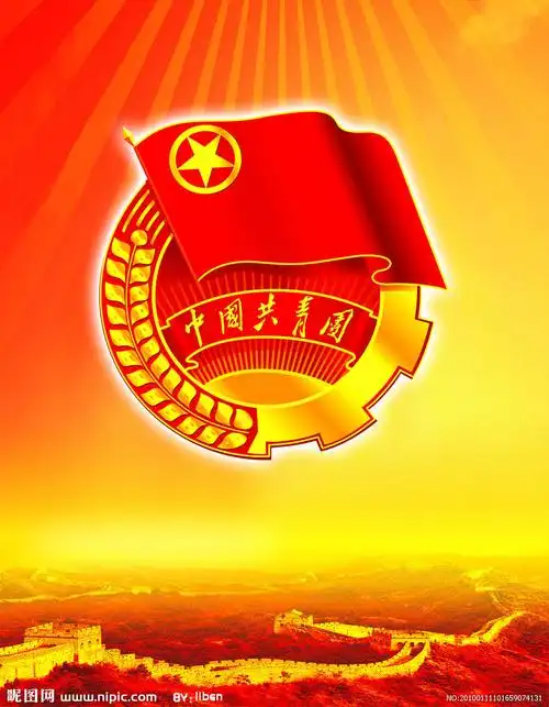 对共青团的认识
