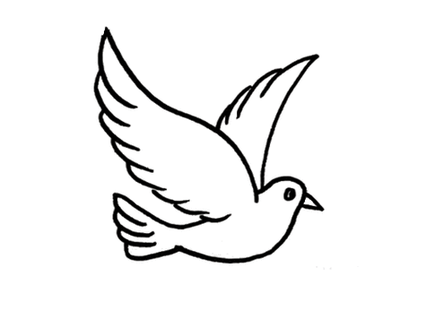 和平鸽白鸽的简笔画