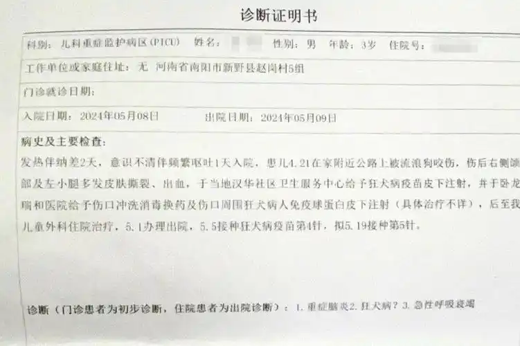 被恶犬咬伤离世男童母亲:仍无犬主线索