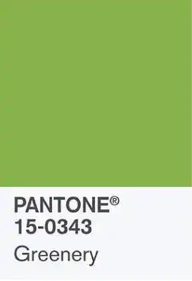 草木绿牛油果绿偏浅,浅绿色温温柔柔,有种朦胧美,墨绿色厚重沉稳,很难