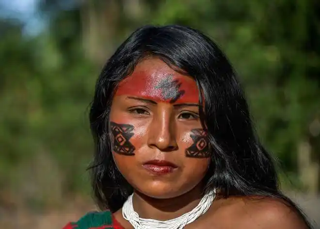 巴西亚马逊热带雨林矿产惹觊觎原住民部落waiapi誓死对抗入侵