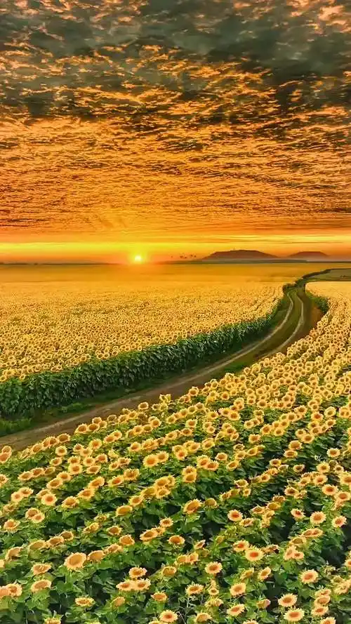 愿所有的美好和期待都能如约而至 治愈系风景 劳累了一天放松一下心情