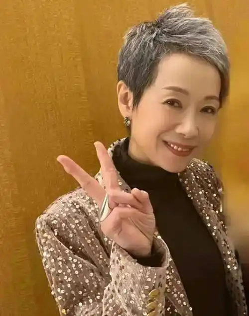 叶童老了比赵雅芝漂亮,不整容不扮嫩看着舒服,赵雅芝太装像假人_穿着