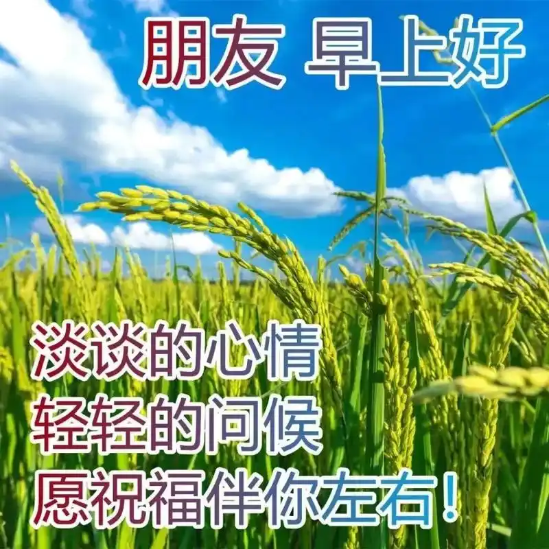天气炎热 让幸福健康同在 夏季早安 圆冠自己 品尝快乐 祝福 - 抖音