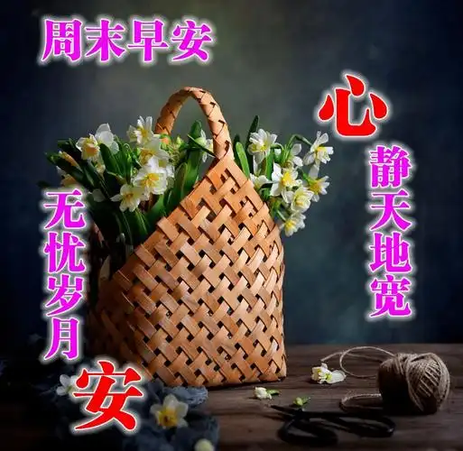 清晨最美早上好祝福短信息 早上好问候早安的句子图片群发