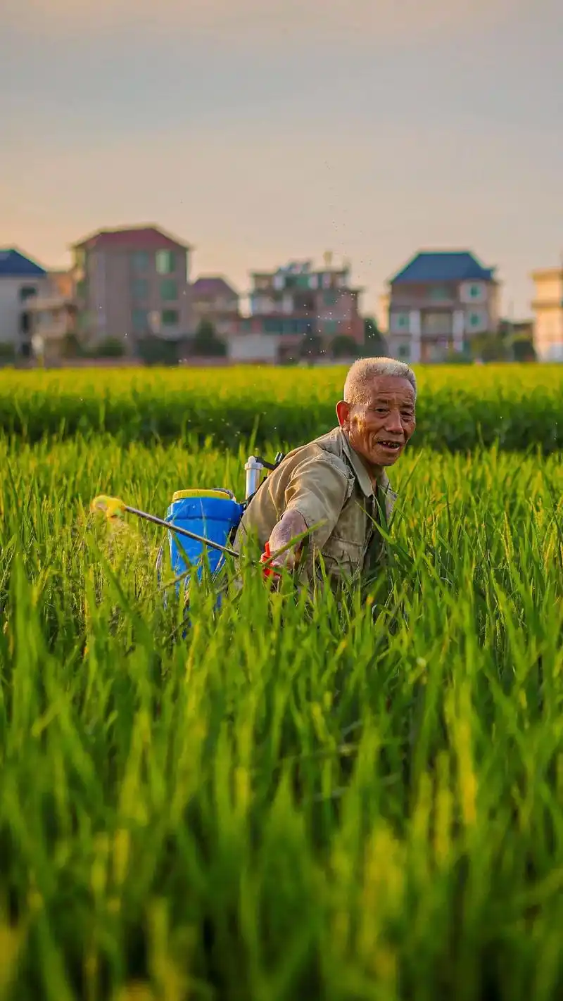 乡村老人.在农田偶遇一位老伯,他说自己71岁,已经老了不中用 - 抖音