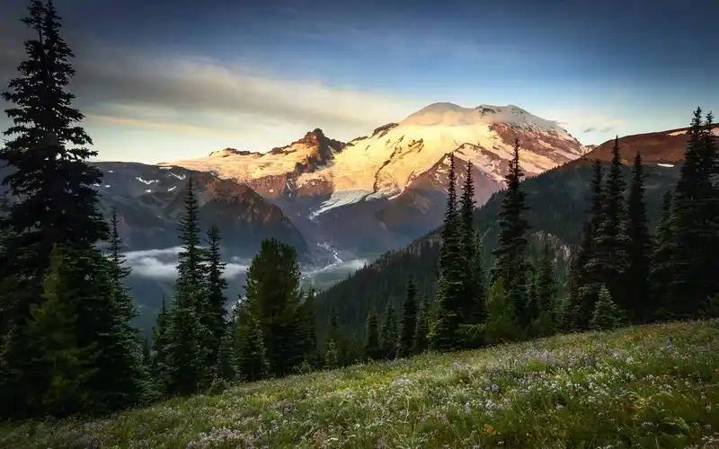 山景观树草高清壁纸,高清图片,壁纸,自然风景-桌面城市