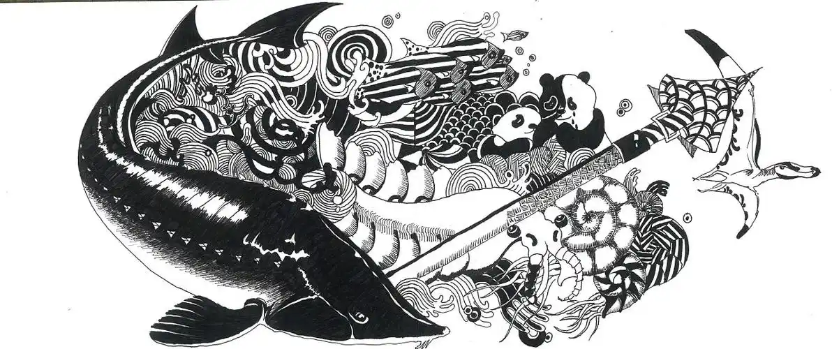 邹邹安 ——大学映射——手绘 黑白 插画 创意 中国风