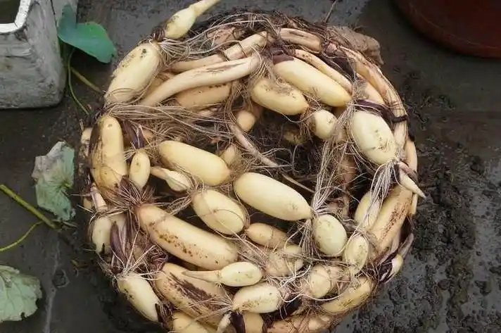 需要注意什么呢?