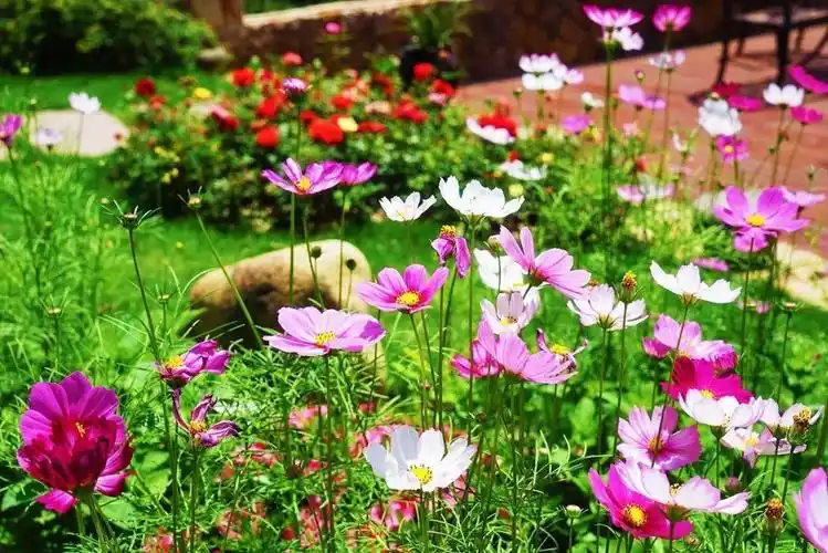 沐山而居,这家专治夏日高温的民宿还有一家ins风的咖啡馆