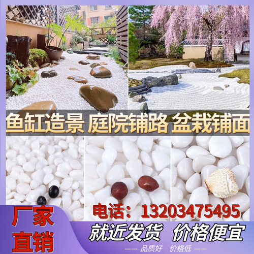上海白色石子石头大鹅卵石庭院铺路铺地小白石头园林枯山水白石子