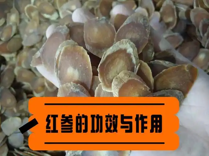 红参的功效与作用