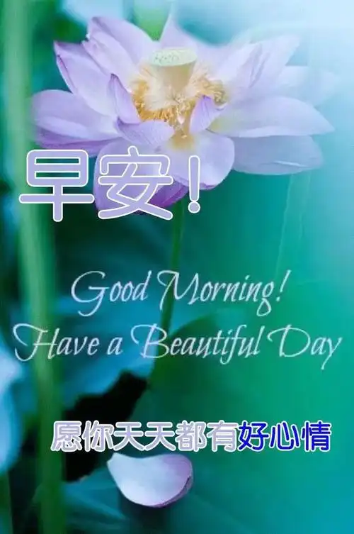 清晨问候大家的早上好漂亮表情图片早安温馨祝福语