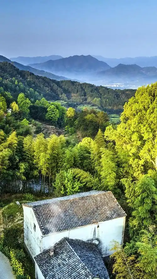 最美的风景#没电没wifi让你在这深山老林里住,你愿意吗