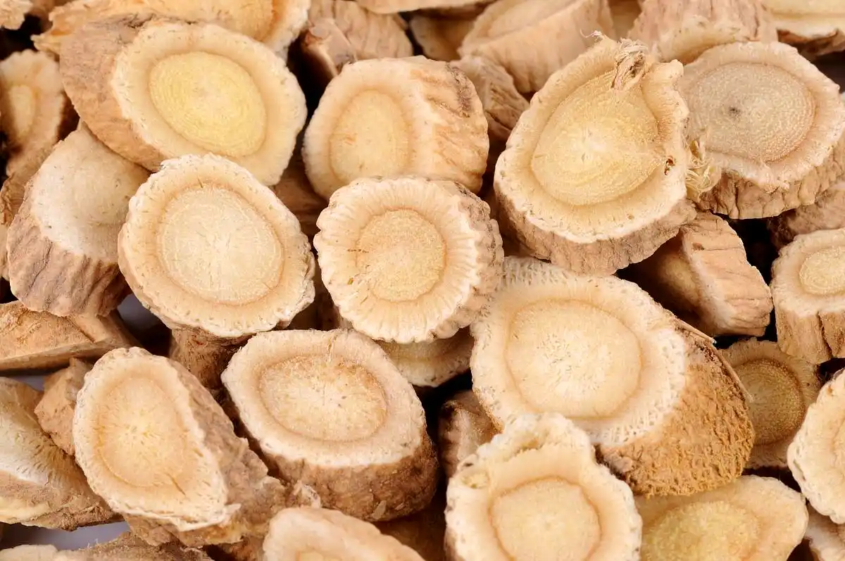 六,感冒发热的患者也别服用黄芪,这不利于退烧,对身体恢复是不好的.