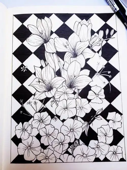 黑白线描画装饰画5100带步骤