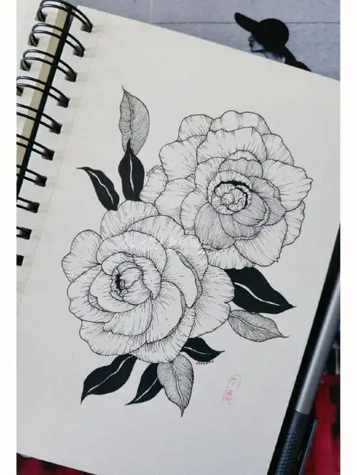 画画打卡  #线描  #黑白线描  #针管笔手绘  #针管笔 #花  #山茶花