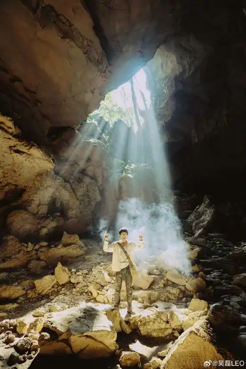 吴磊电影草木人间