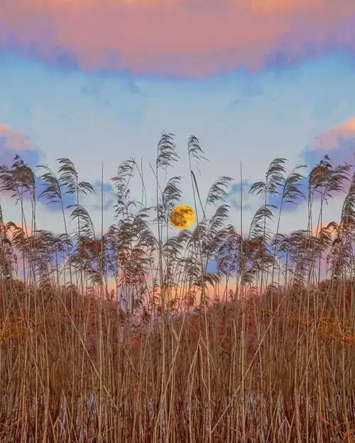 风景背景图,朋友圈背景图