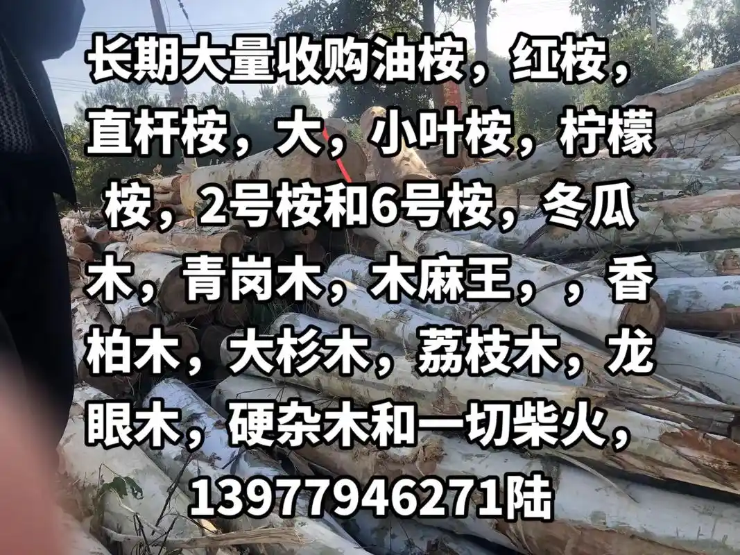 长期大量收购201和u6桉以及其他杂木.长期大量收购油桉,红 - 抖音