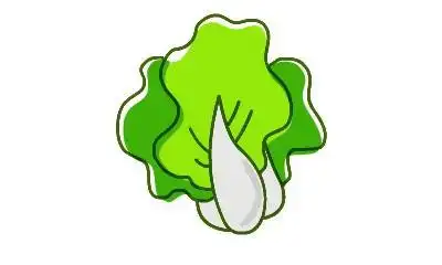 白菜简笔画彩色可爱