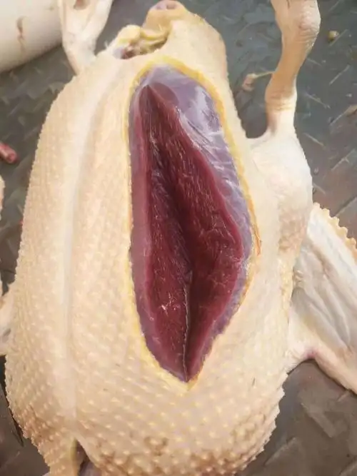 农家散养番鸭红头鸭西洋鸭鸳鸯新鲜活体现杀现发生鲜整只鸭肉藤鸭杀好