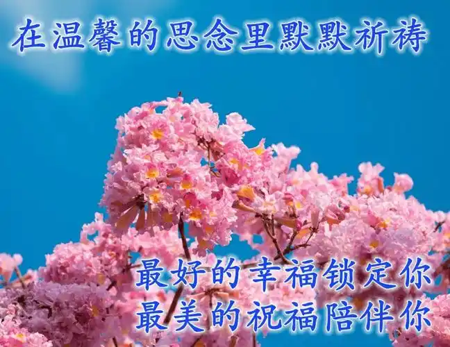 原创每日问候早安心语祝福图片秋天早晨好祝福问候