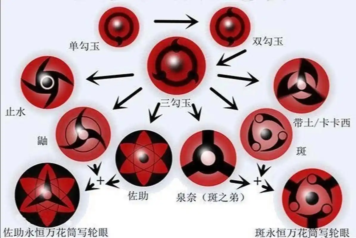 写轮眼,进化过程图 写轮眼,进化过程图