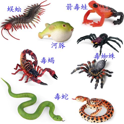 有毒野生动物模型箭毒蛙响尾蝮蛇王蛇蜈蚣河豚黑寡妇蜘蛛蝎子玩具