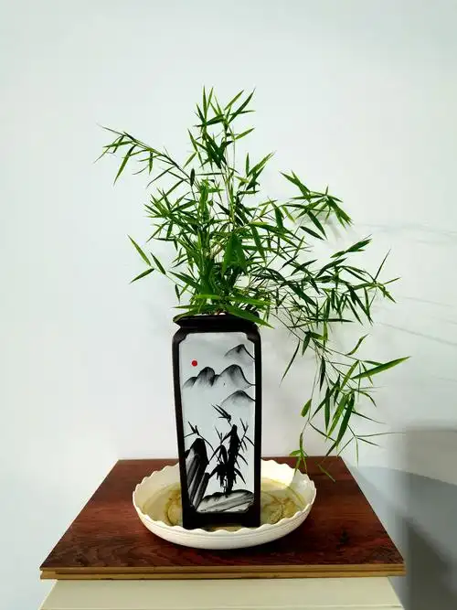 风竹- stone摄影师 - 图虫