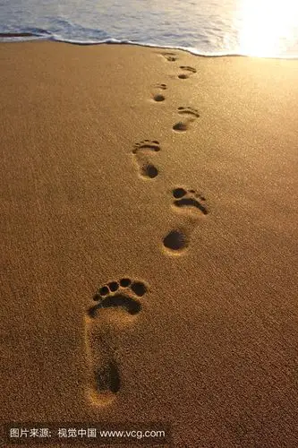 暖,花香四溢——寻访宁东学校八年级全体班主任新学期以来的工作足迹