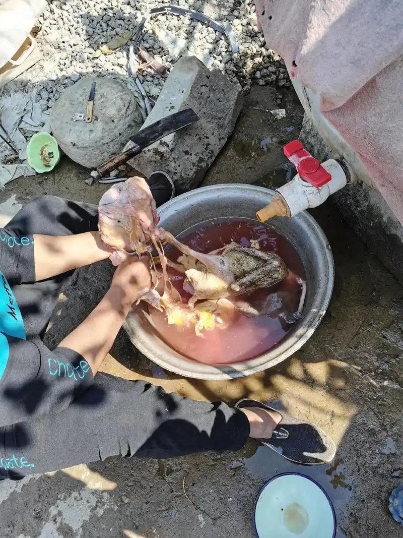 鸭宝 - 佛祖只渡有钱人 - 抖音