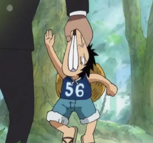 海贼王超话#海贼王##动漫#小时候可爱的路飞头像