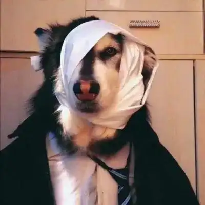 沙雕头像225张 高清好玩又智障又沙雕的头像图片_搞笑头像_头像屋