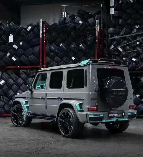 巴博斯g800国六标准德国进口港口现车