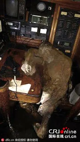 德国失踪多年探险家被发现尸体已风干成木乃伊组图