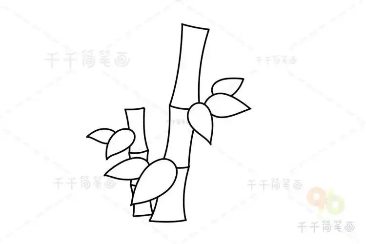 竹子简笔画教程