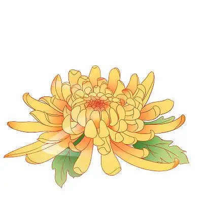 黄色菊花国潮手绘卡通重阳节元素